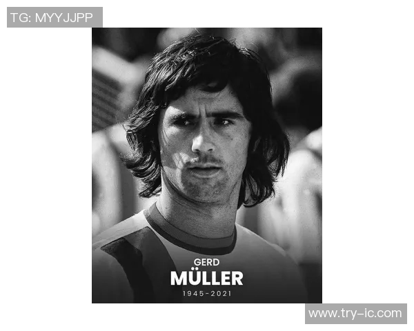 哈利简尼足球明星的传奇之路与荣耀时刻揭秘